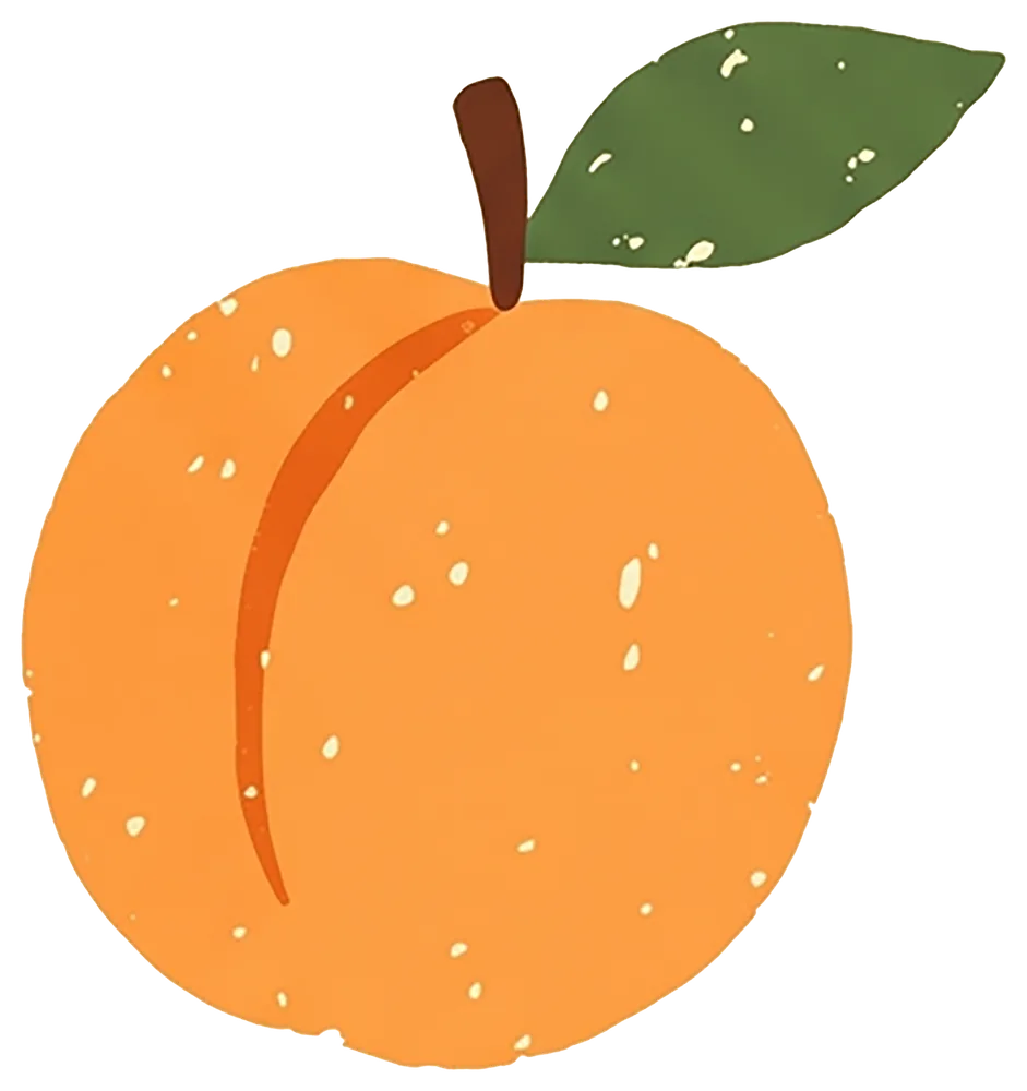 Illustration d'un abricot