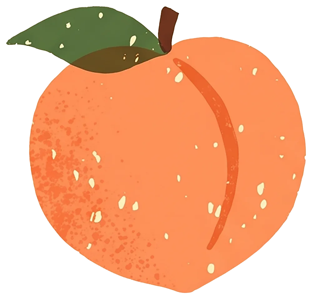 Illustration d'une pêche