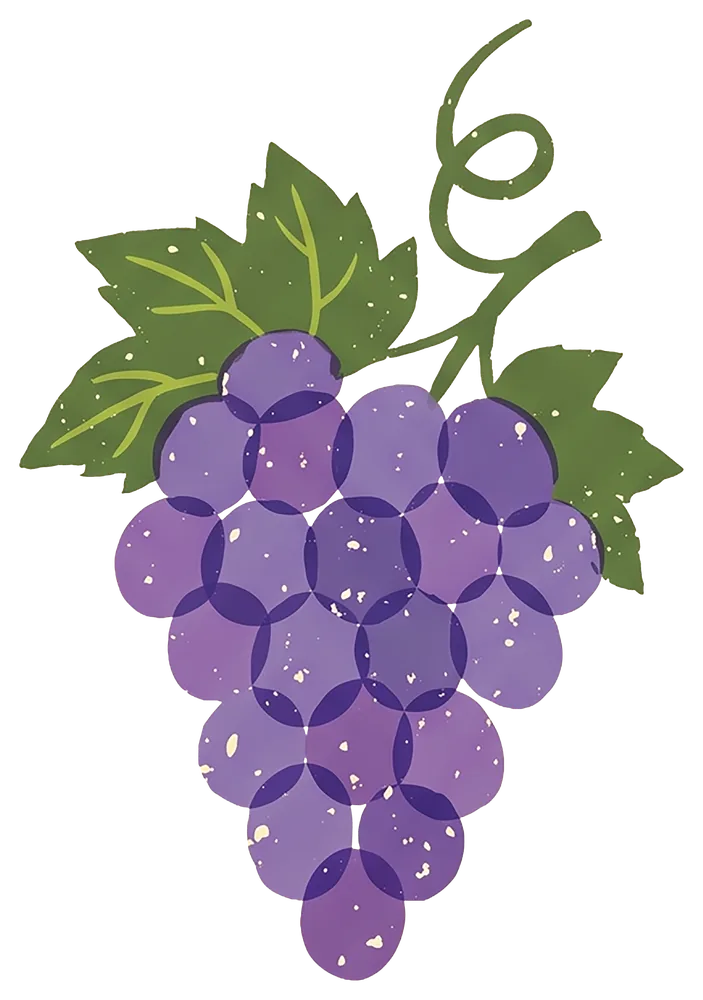 Illustration d'une grappe de raisin